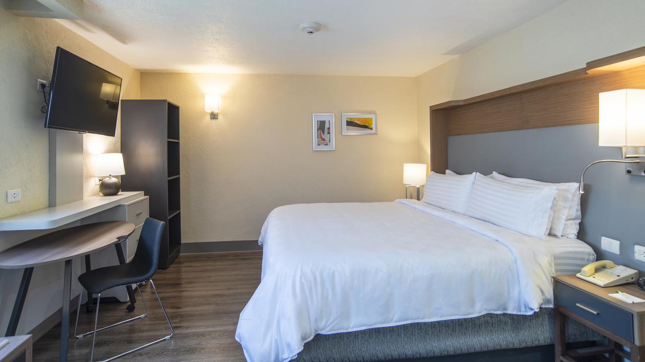 Holiday Inn Mexico Coyoacan Eksteriør billede